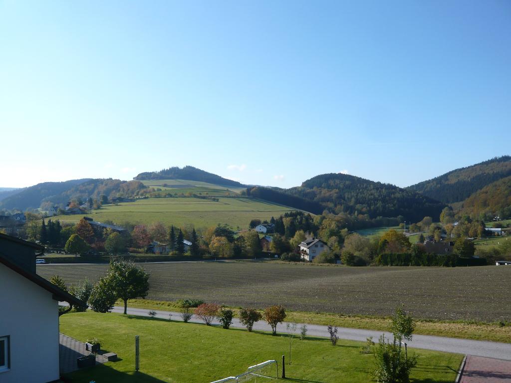 Haus Talblick Villa Willingen  Eksteriør bilde
